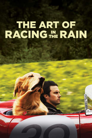 movie poster for The Art Of Racing In The Rain