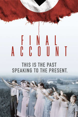 movie poster for Final Account