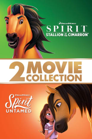 movie poster for Spirit 2-Movie Collection