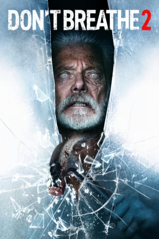 movie poster for Don't Breathe 2