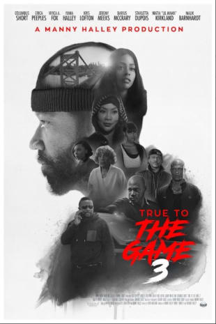 movie poster for True To The Game 3
