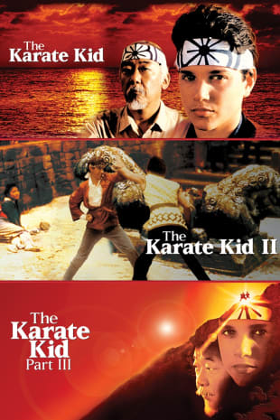 movie poster for Karate Kid Trilogy
