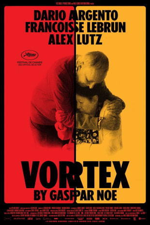 movie poster for Vortex