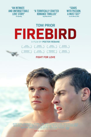 movie poster for Firebird