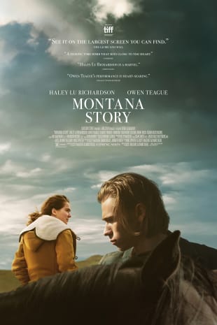 movie poster for Montana Story