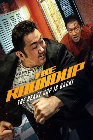 movie poster for The Roundup
