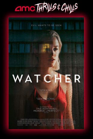 movie poster for Watcher