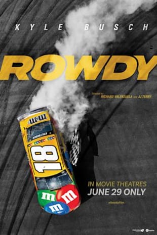 movie poster for Rowdy