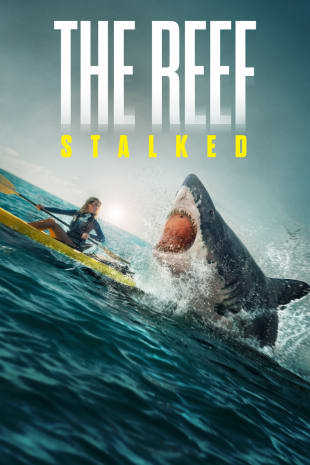 movie poster for The Reef: Stalked