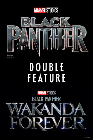 movie poster for Black Panther Double Feature