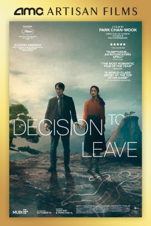 movie poster for Decision To Leave