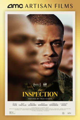 movie poster for The Inspection