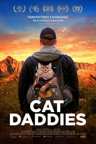 movie poster for Cat Daddies