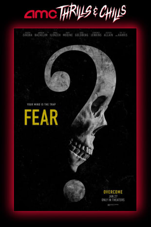 movie poster for Fear