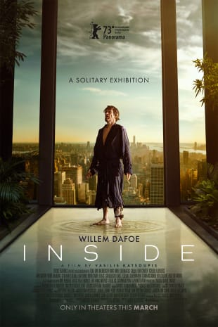 movie poster for Inside