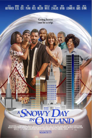 movie poster for A Snowy Day in Oakland