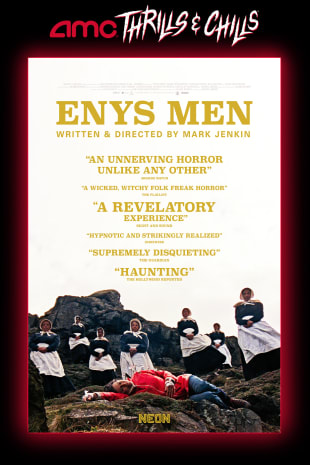 movie poster for Enys Men