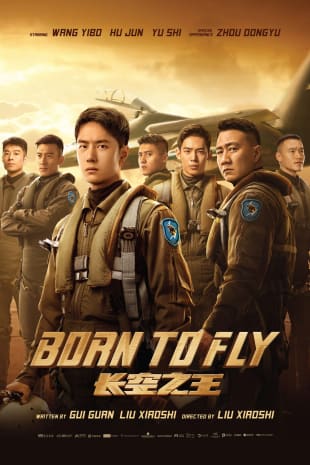 movie poster for Born to Fly