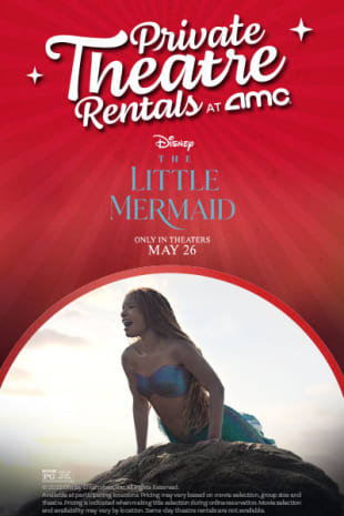 movie poster for The Little Mermaid: Private Theatre Rental for 1-40 Total Guests