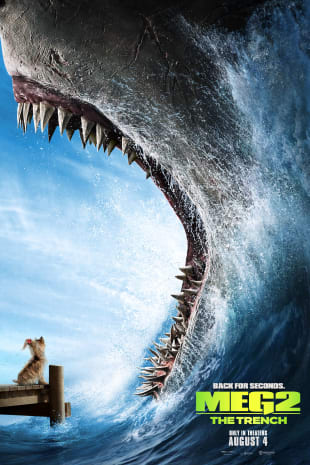 movie poster for The Meg 2
