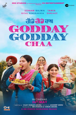 movie poster for Godday Godday Chaa