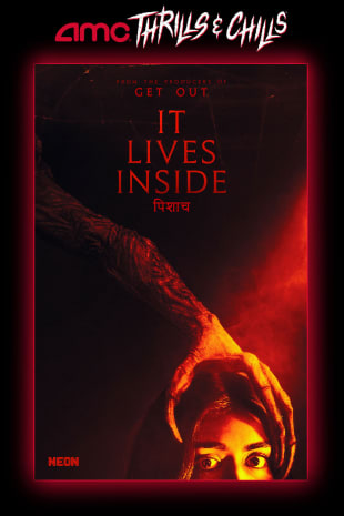 movie poster for It Lives Inside