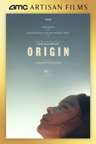 movie poster for Origin