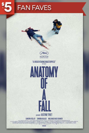 movie poster for Anatomy of a Fall