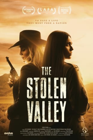 movie poster for The Stolen Valley