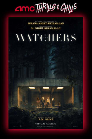movie poster for The Watchers