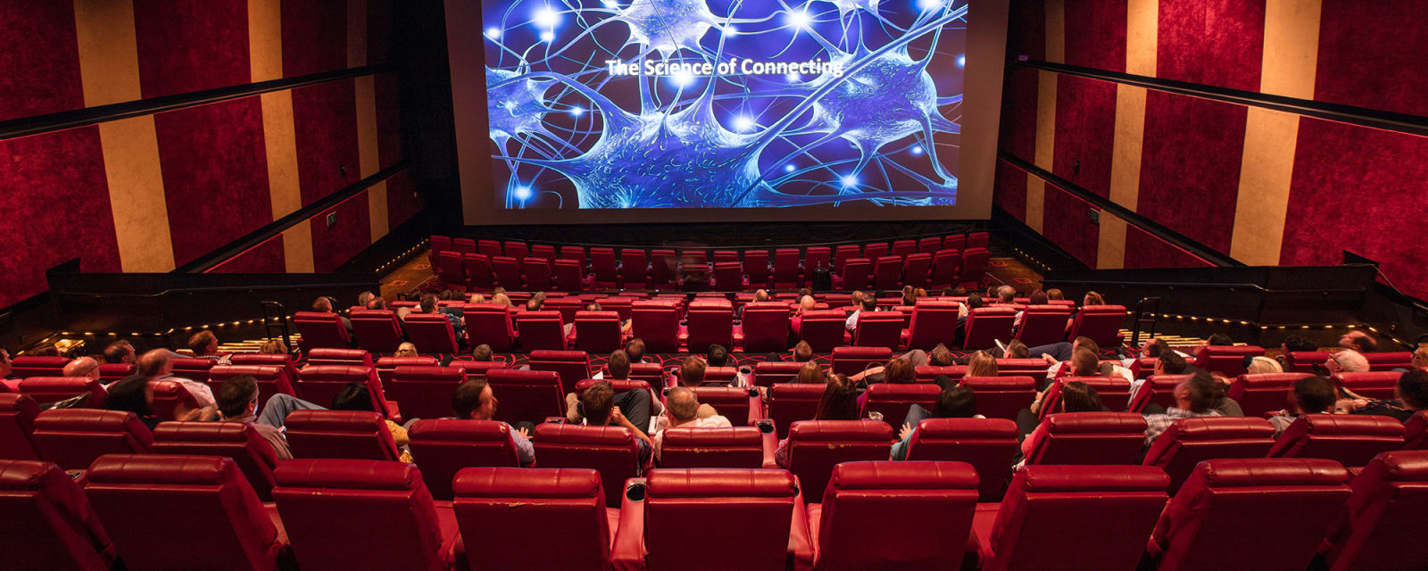 group of people in a movie theatre
