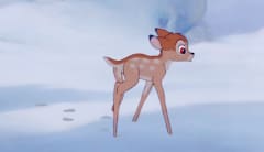 Image from Bambi