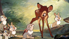 Image from Bambi
