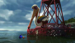 Image from Finding Nemo