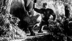 Scene from King Kong