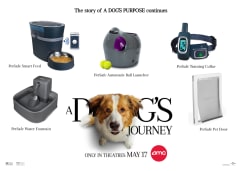 A Dog's Journey Prize Pack