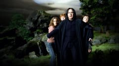 Snape, Harry, Hermione, Ron