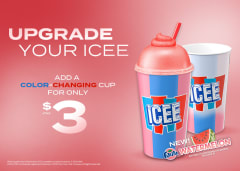ICEE Color Changing Cup