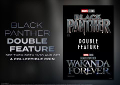 Black Panther Double Feature