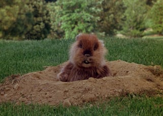 Scene from Caddyshack