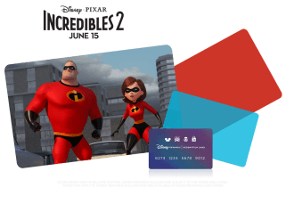 Disney Visa