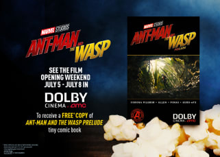 See Ant-Man and The Wasp in Dolby Cinema