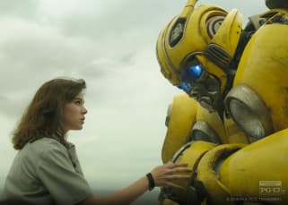 Bumblebee