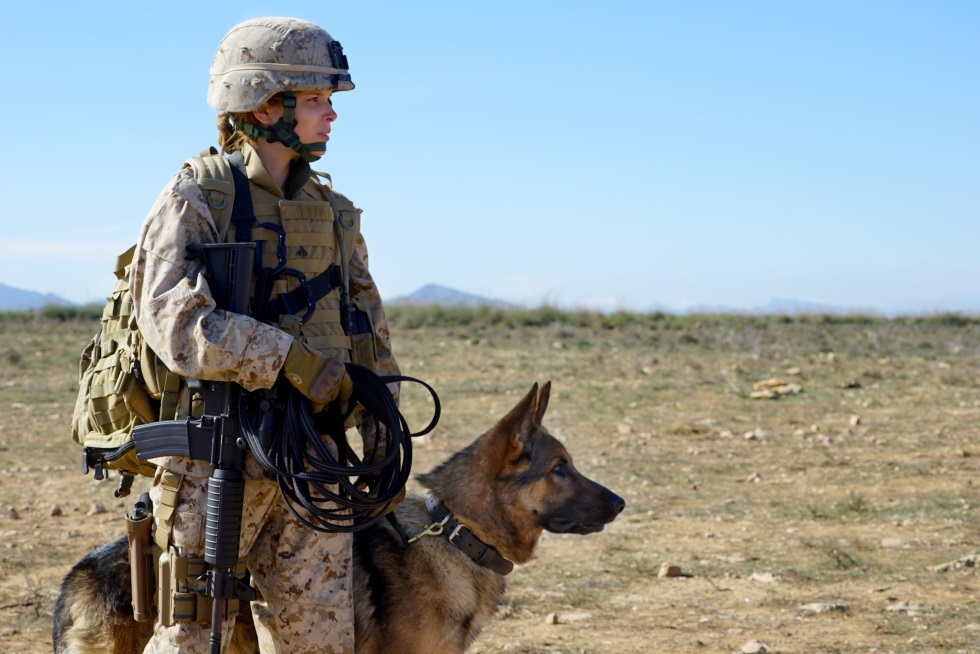 Megan Leavey
