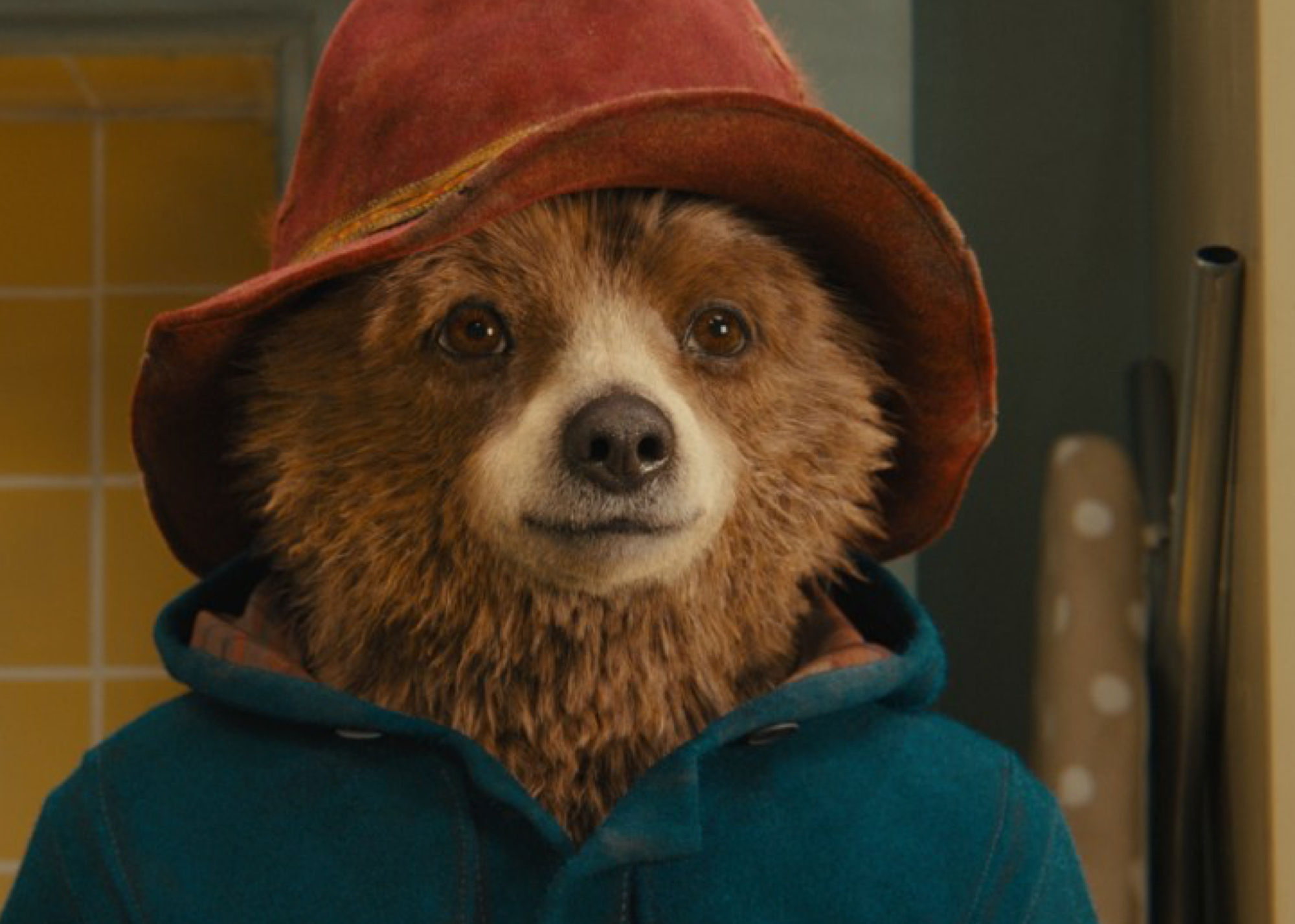 steiff paddington bear 2018