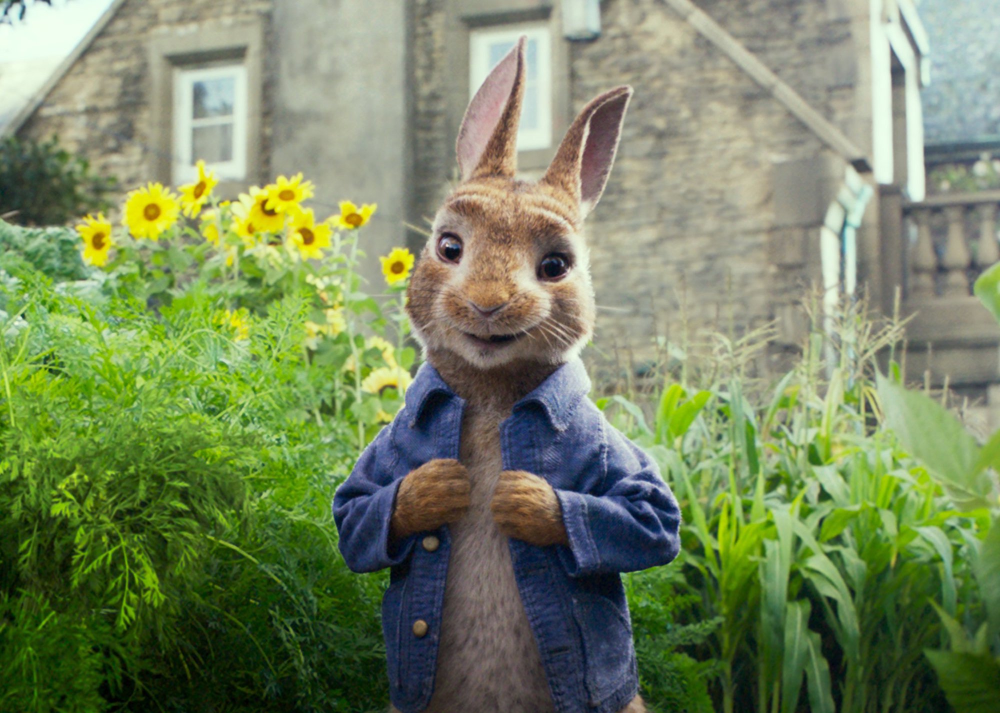 Peter Rabbit movie cast: Domhnall Gleeson to play Mr McGregor opposite  James Corden and Daisy Ridley
