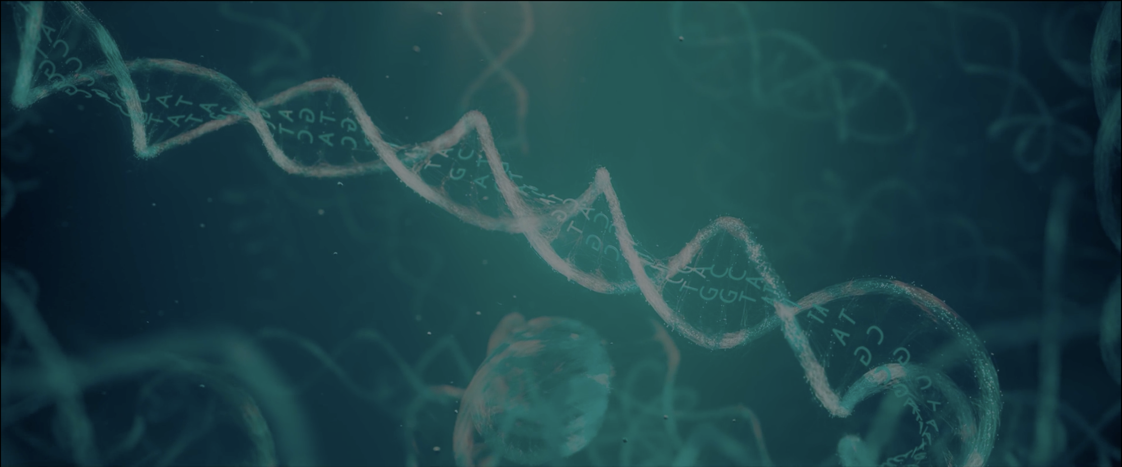 The Story of Everything