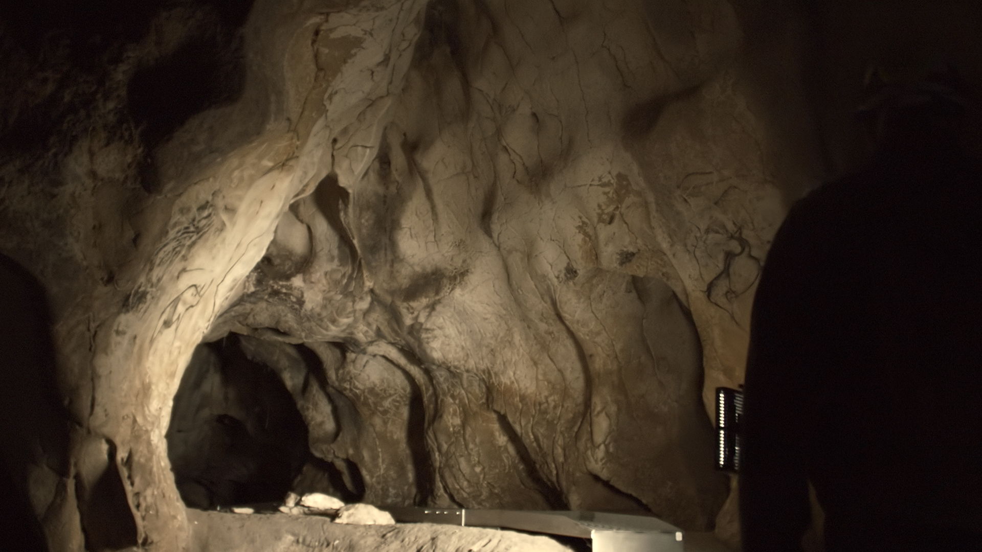 Cave of Forgotten Dreams 3D IMAX Remastered