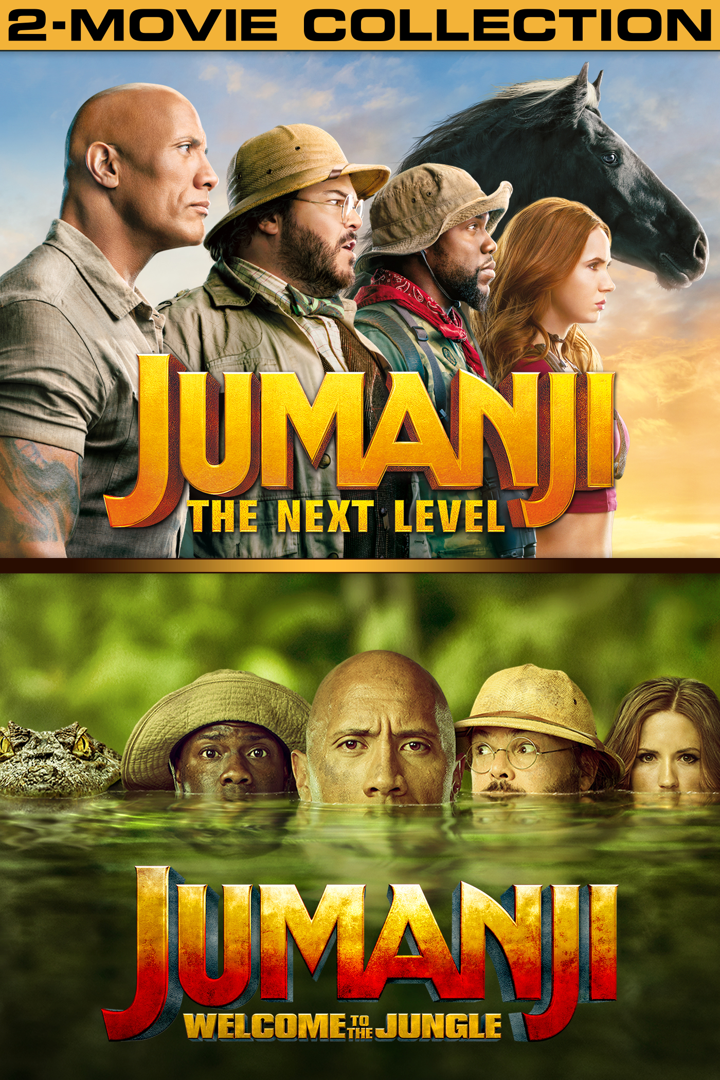 Jumanji 2 Movie Collection DVD