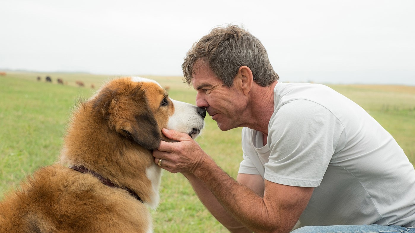 123movies a dogs purpose